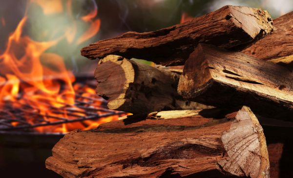 Mushara Charcoal